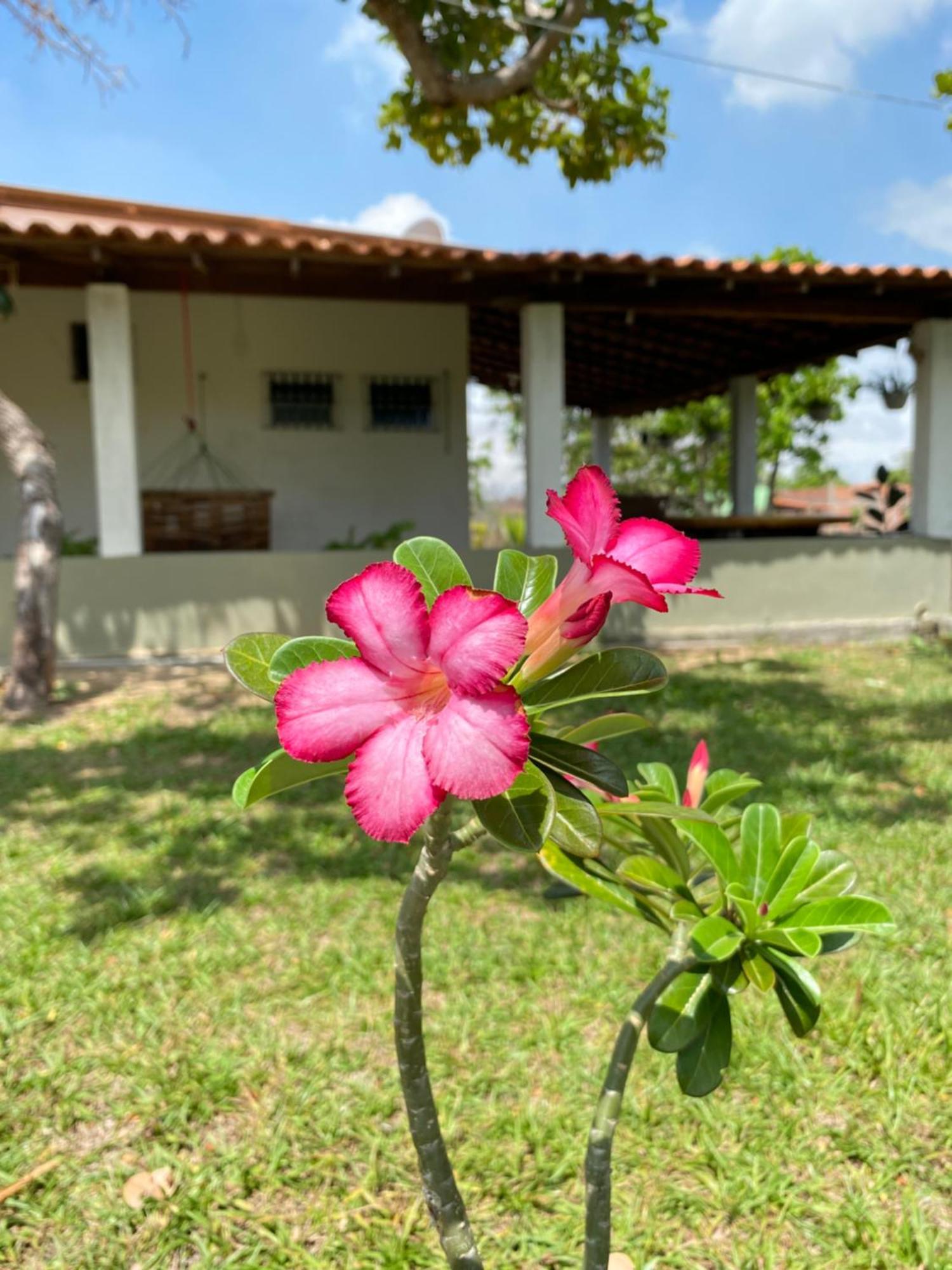 Chale A 4Km Do Centro Com Wi-Fi Villa Barreirinhas Kültér fotó